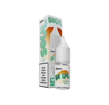 KLARRO SOUL 20MG 10ML - HAVANA MINT