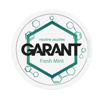 Snus GARANT (GRANT) Molecule 20mg - Fresh Mint