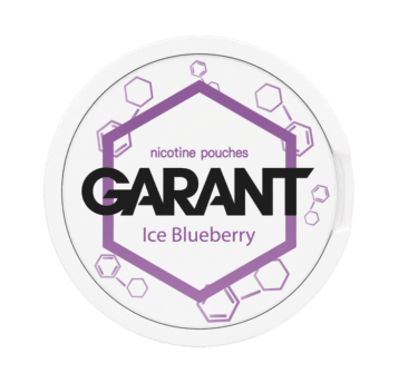 Snus GARANT (GRANT) Molecule 20mg - Ice Blueberry
